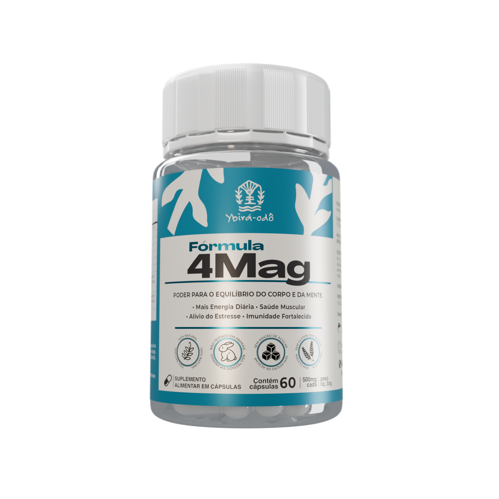 Kit Equilíbrio Vital (NAC + 4MAG + Probiótica + Picolinato)